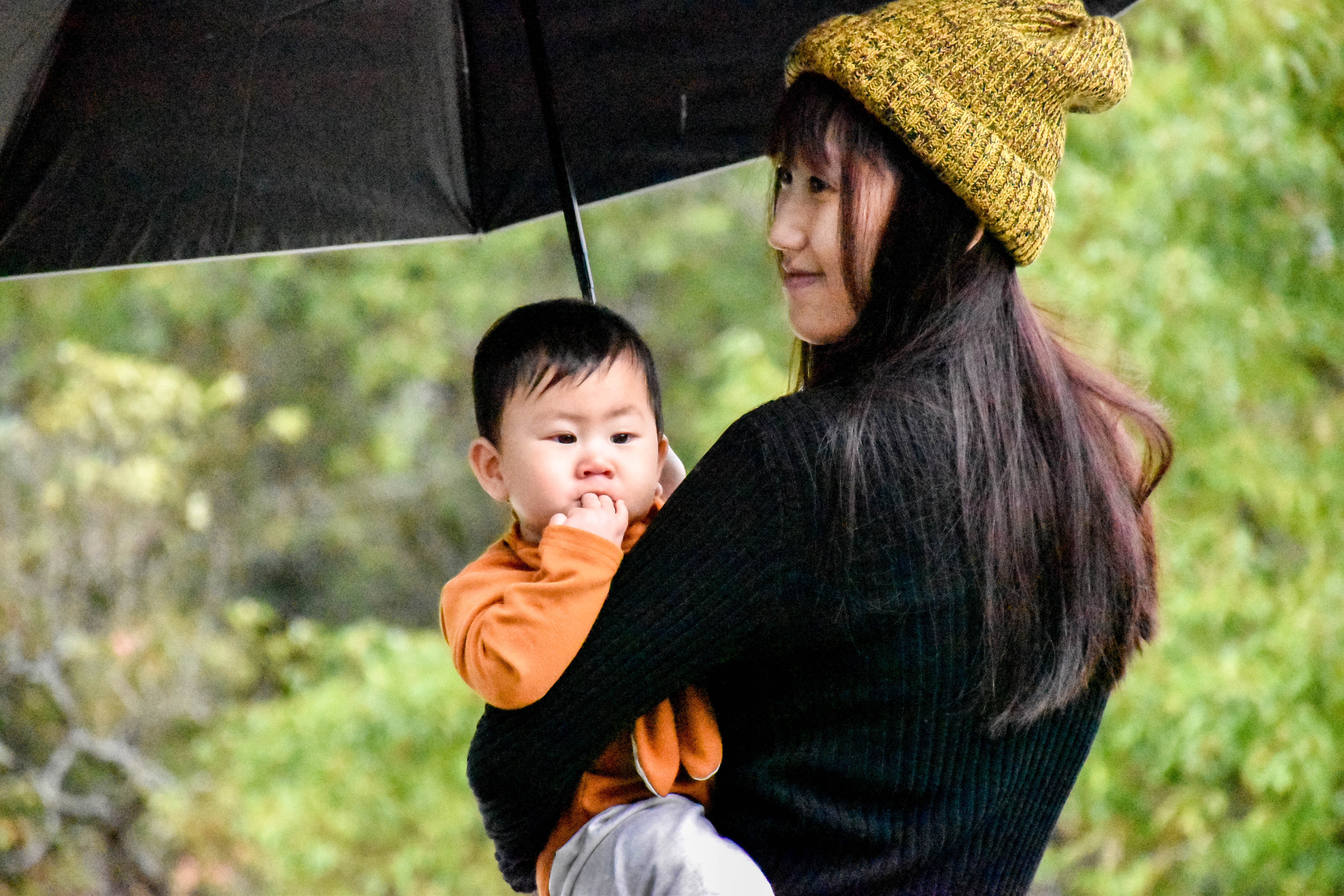 雨傘王