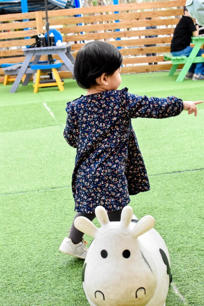 嘉義景點 萌寵村親子樂園