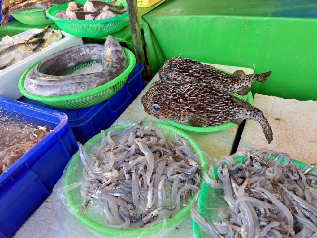 宜蘭頭城大溪漁港