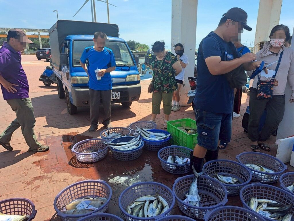 苗栗親子景點 龍鳳漁港