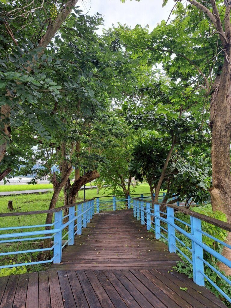 高雄美濃景點 美濃湖