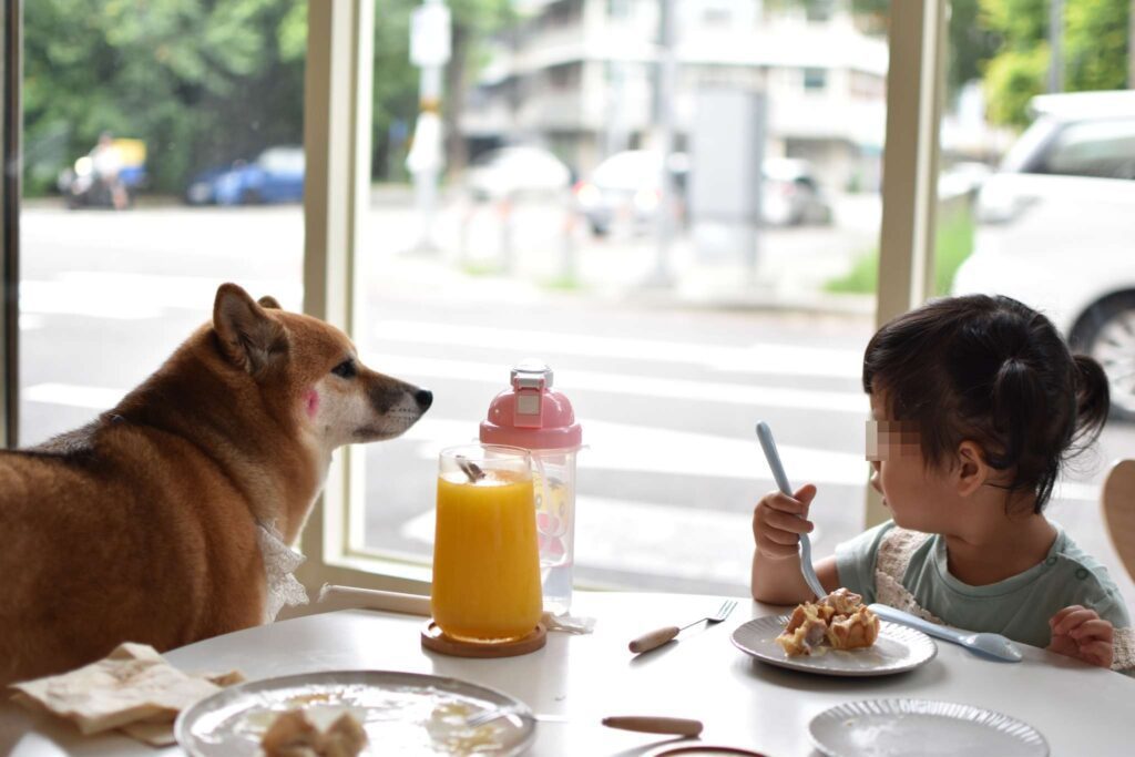柴想喝咖啡店用餐記錄，孩子與店狗互動