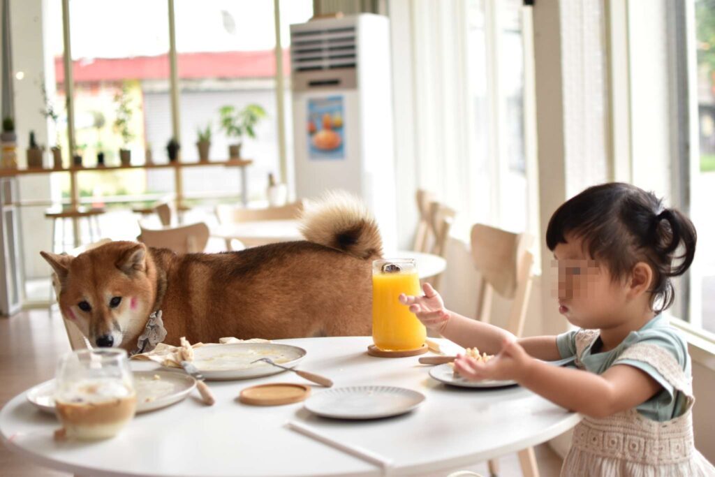 柴想喝咖啡店用餐記錄，孩子與店狗互動