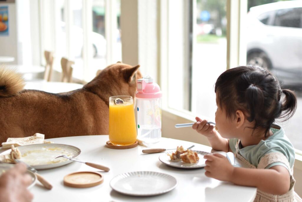柴想喝咖啡 用餐記錄，孩子與店狗互動