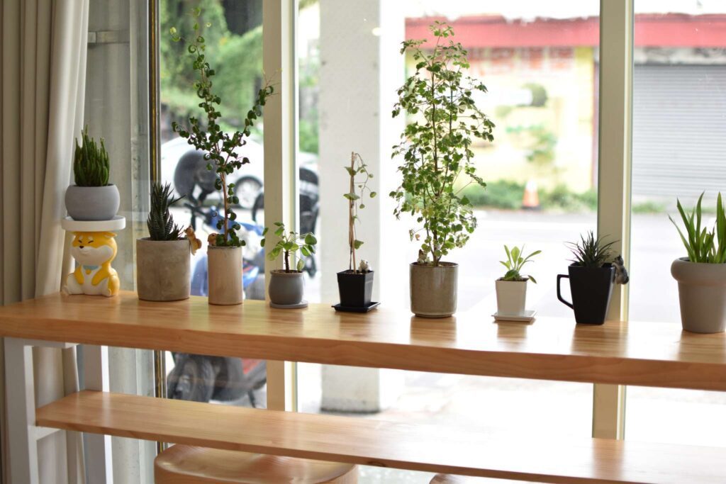 柴想喝咖啡 店內環境，生機盎然的小植栽擺設
