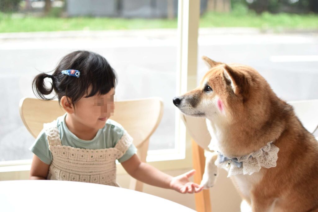 柴想喝咖啡店用餐記錄，孩子與店狗互動