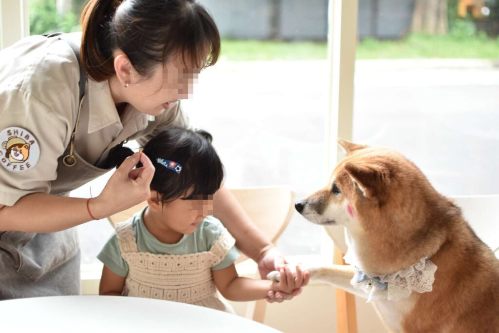 柴想喝咖啡店用餐記錄，孩子與店狗互動