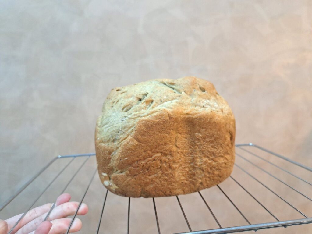 小太陽 TB-8021 家用麵包機