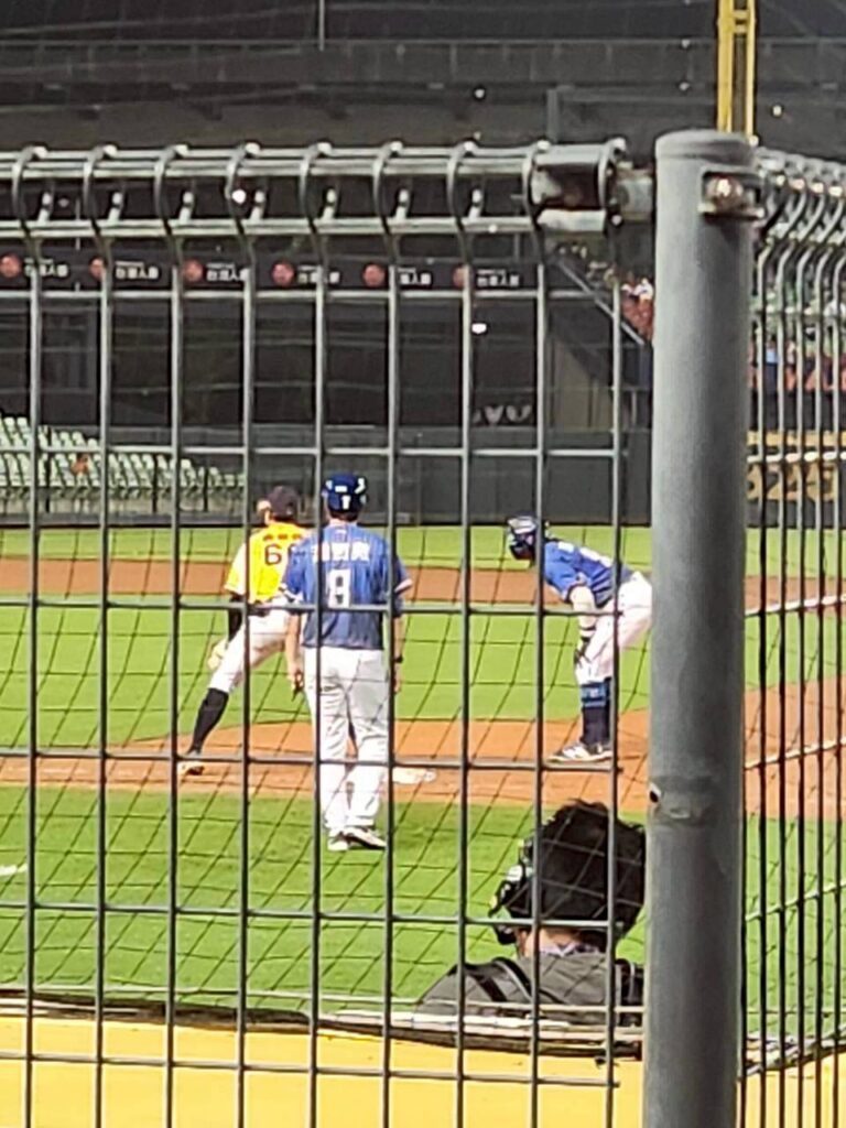 帶孩子看棒球 ，內野席區域距離超近！