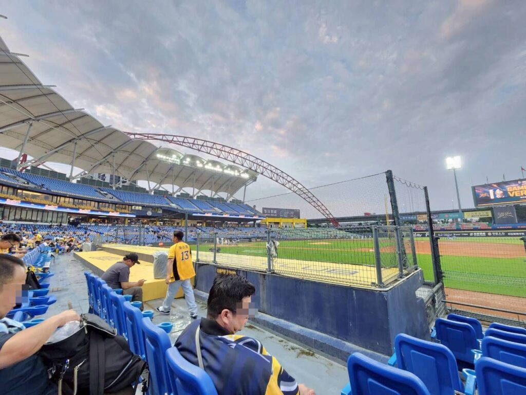帶孩子看棒球 ，球場全景與小家庭坐在看台
