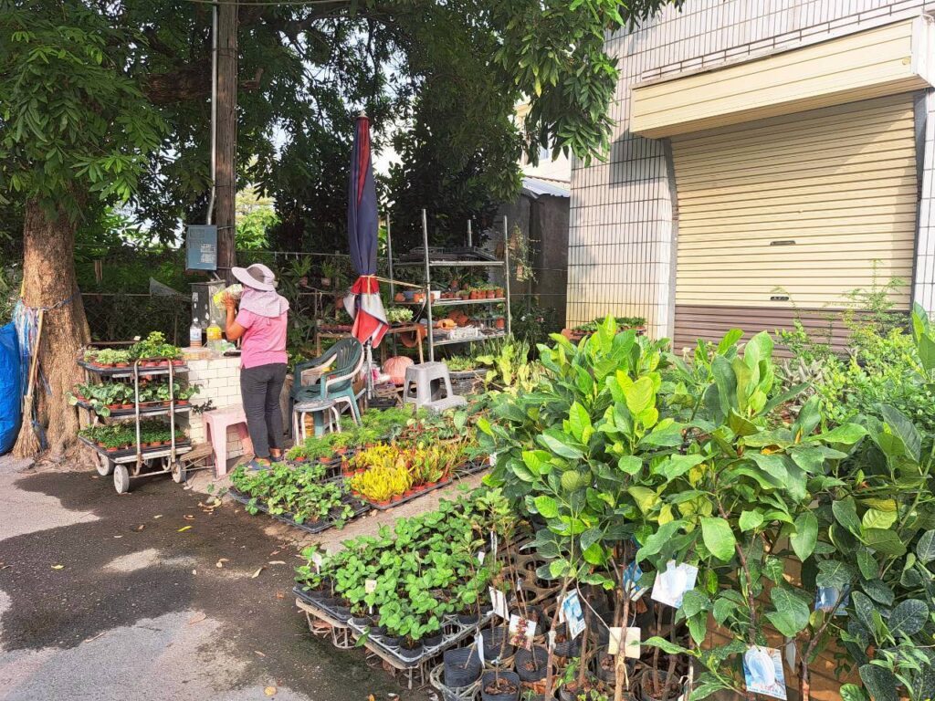 北斗景點附近｜田尾公路花園親子遊與園藝