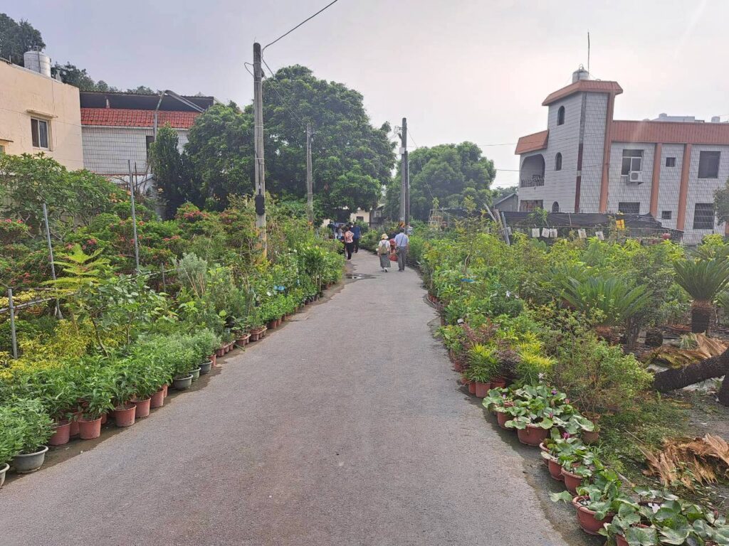  田尾必訪景點 ｜10元花草-田尾公路花園平價盆栽與花草