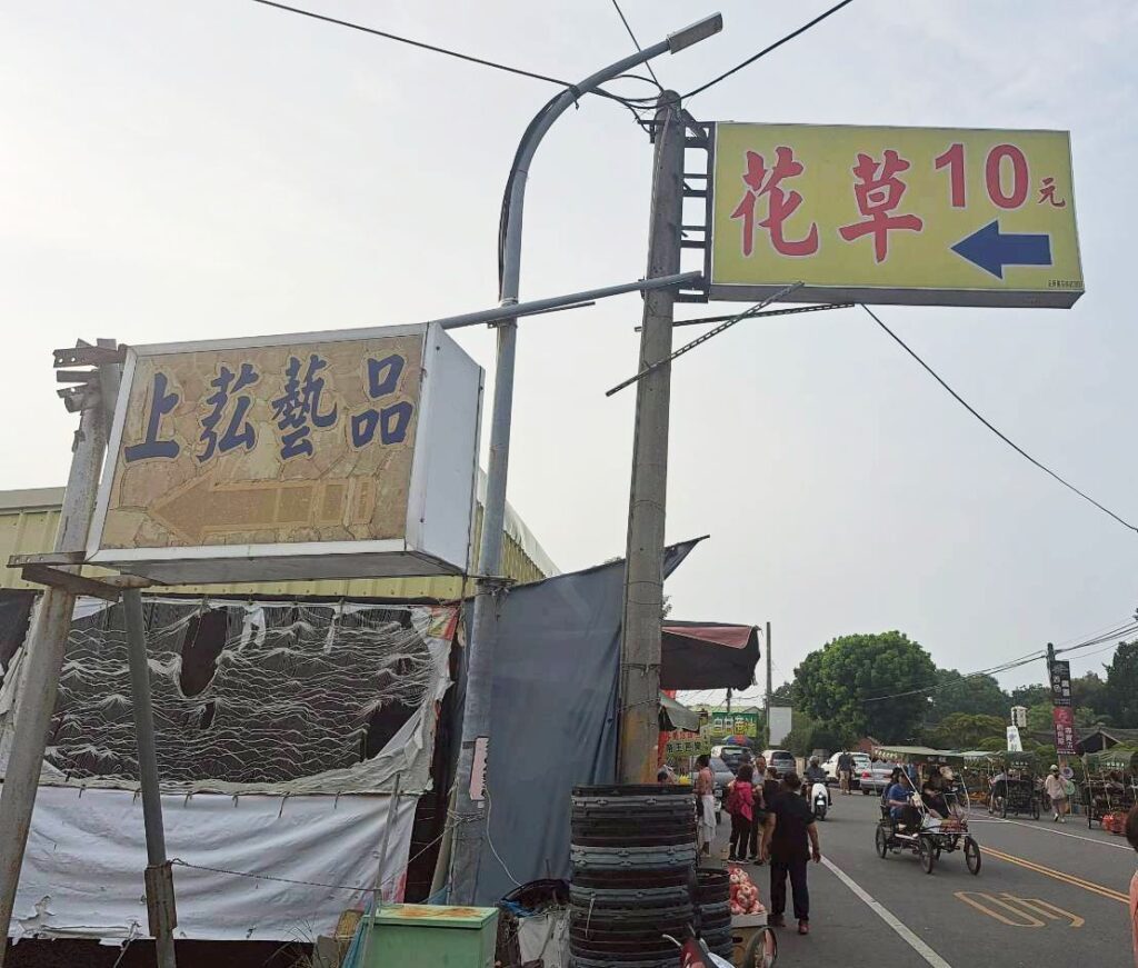  田尾必訪景點 ｜10元花草-田尾公路花園平價盆栽與花草