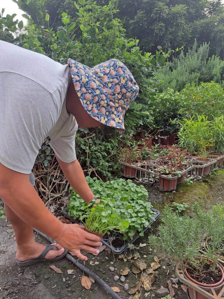 彰化田尾必逛景點｜平價小盆栽與綠意花園