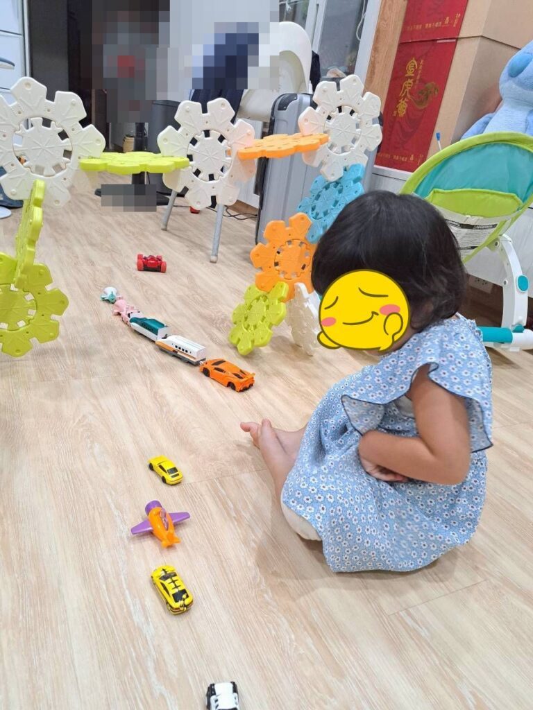  磁力片 、積木、 Weplay 雪花拼拼樂，都是很有趣的學齡前玩具。
