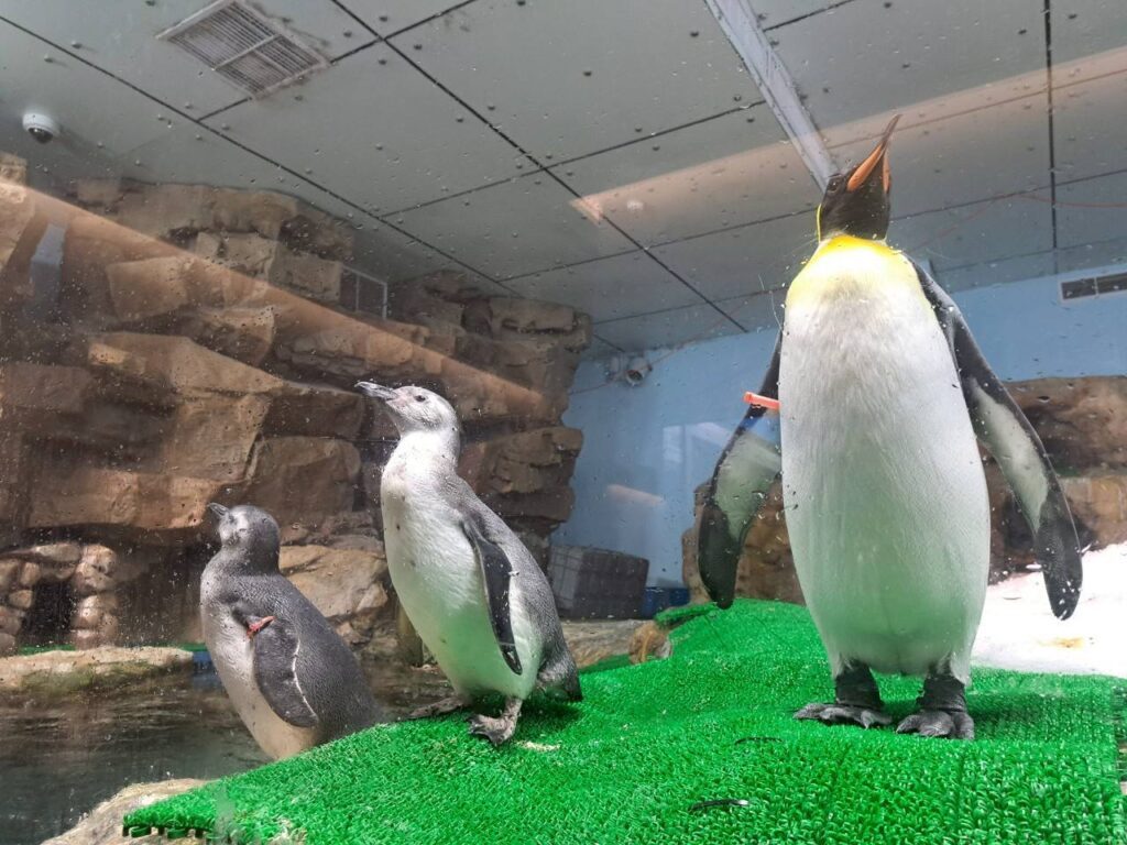 桃園親子景點 Xpark 都會型水生公園