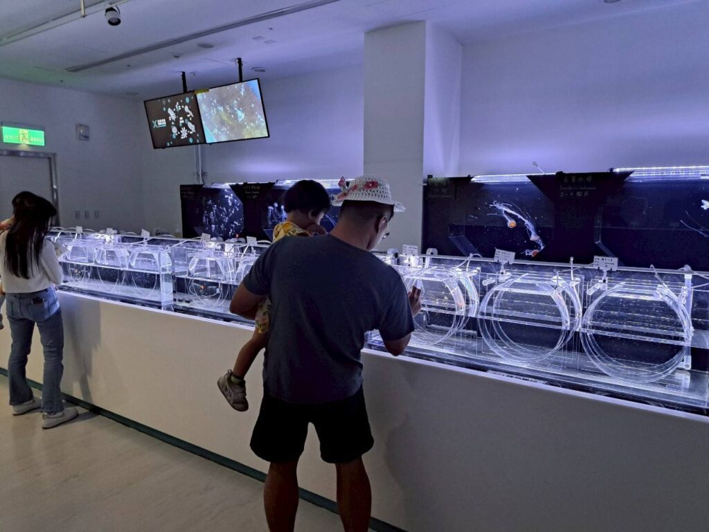 桃園親子景點 Xpark 都會型水生公園