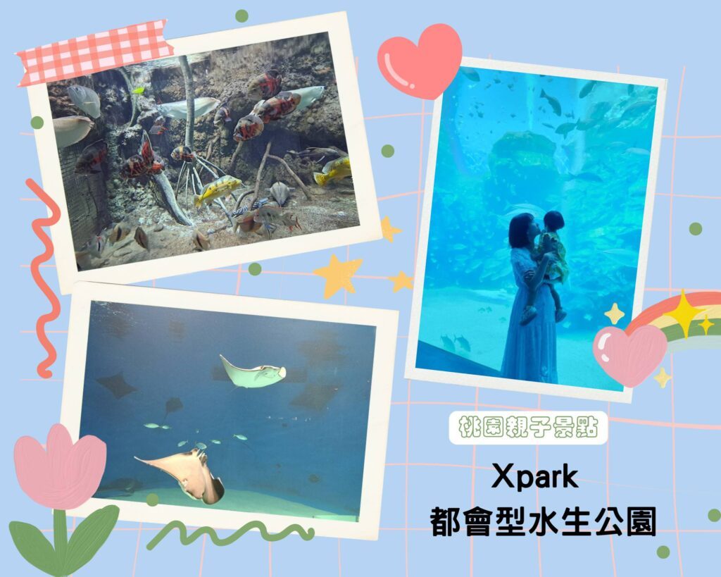 桃園親子景點 Xpark 都會型水生公園
