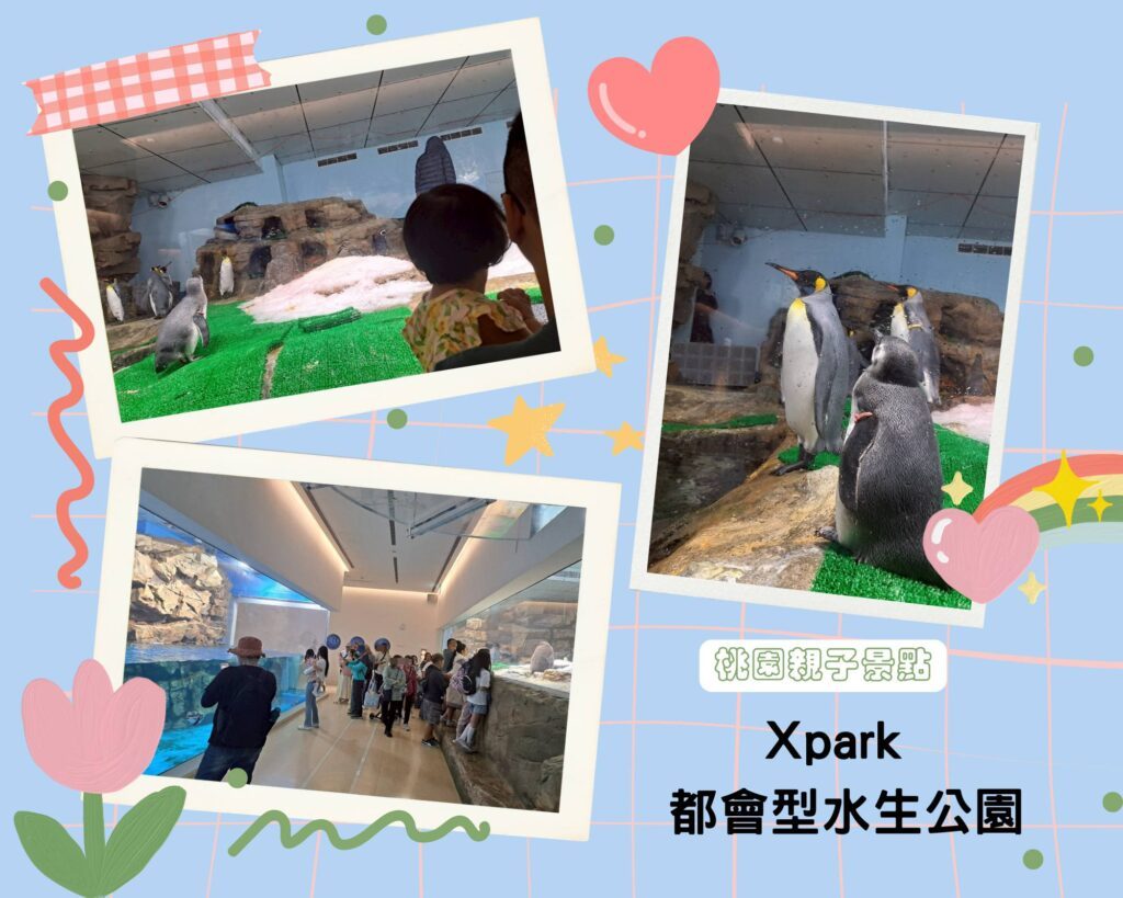 桃園親子景點 Xpark 都會型水生公園