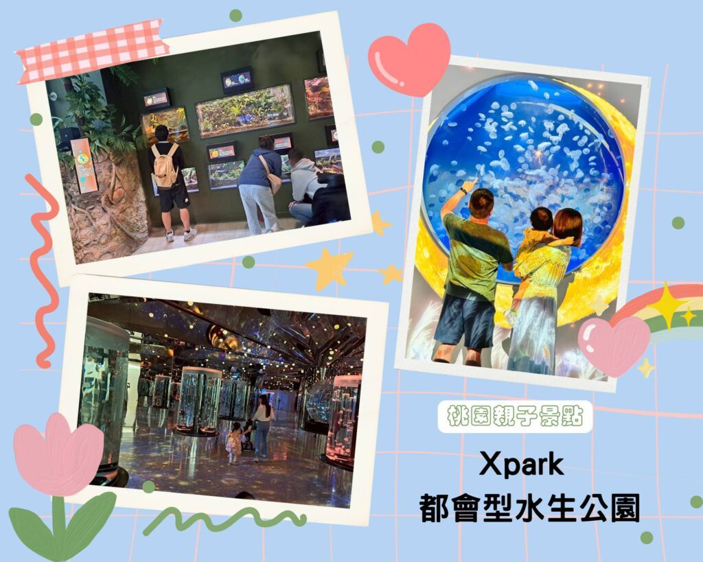 桃園親子景點 Xpark 都會型水生公園
