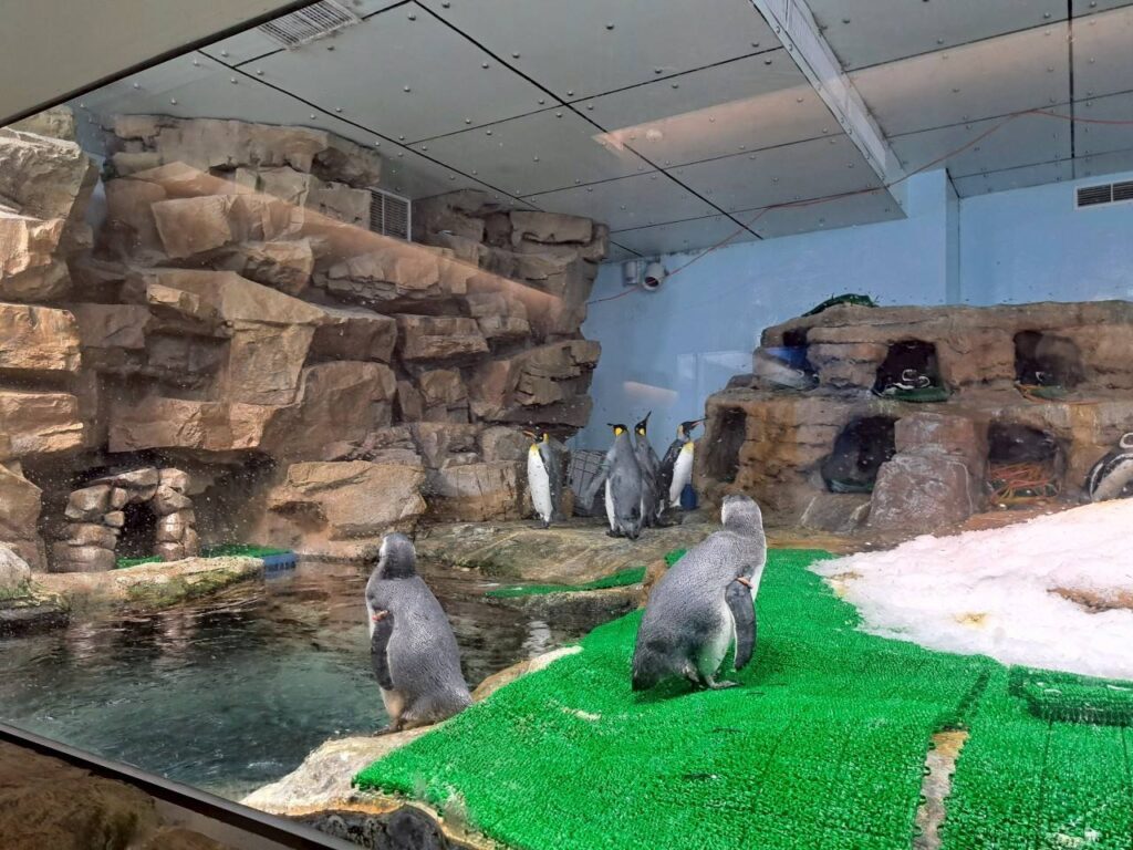 桃園親子景點 Xpark 都會型水生公園