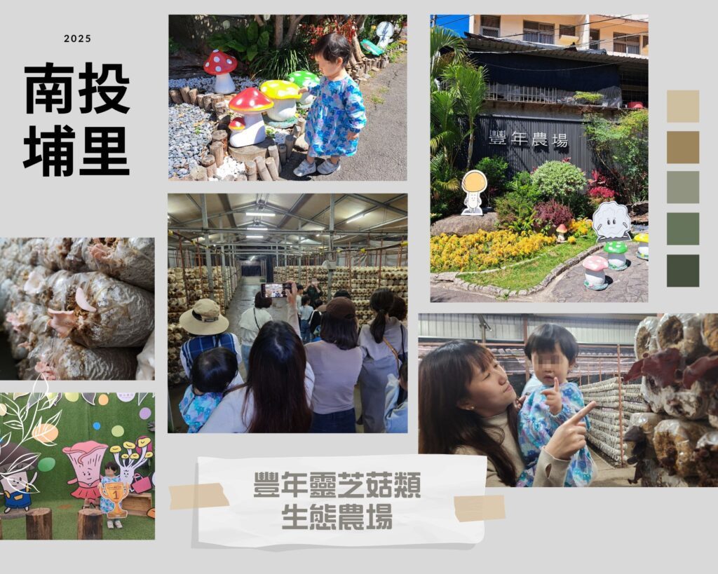豐年靈芝菇類生態農場 南投埔里親子景點