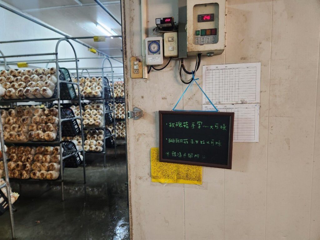 豐年靈芝菇類生態農場 南投埔里親子景點