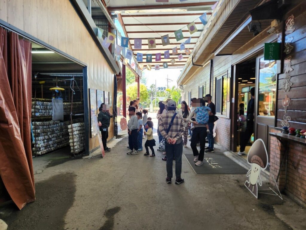 豐年靈芝菇類生態農場 南投埔里親子景點