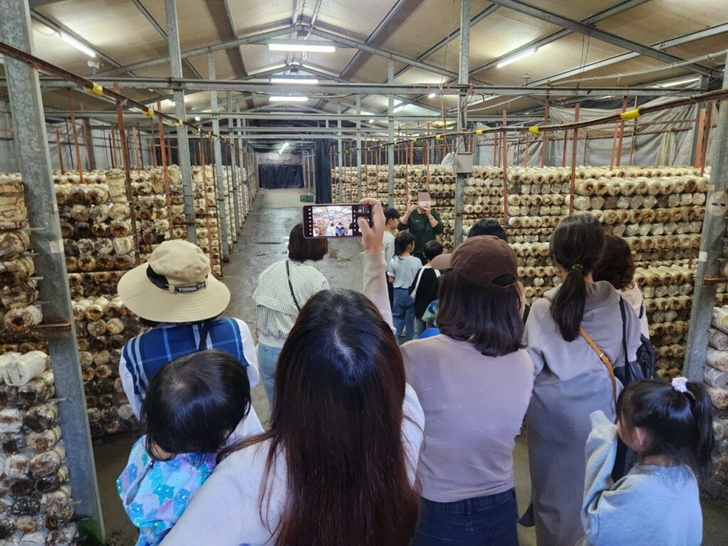 豐年靈芝菇類生態農場 南投埔里親子景點