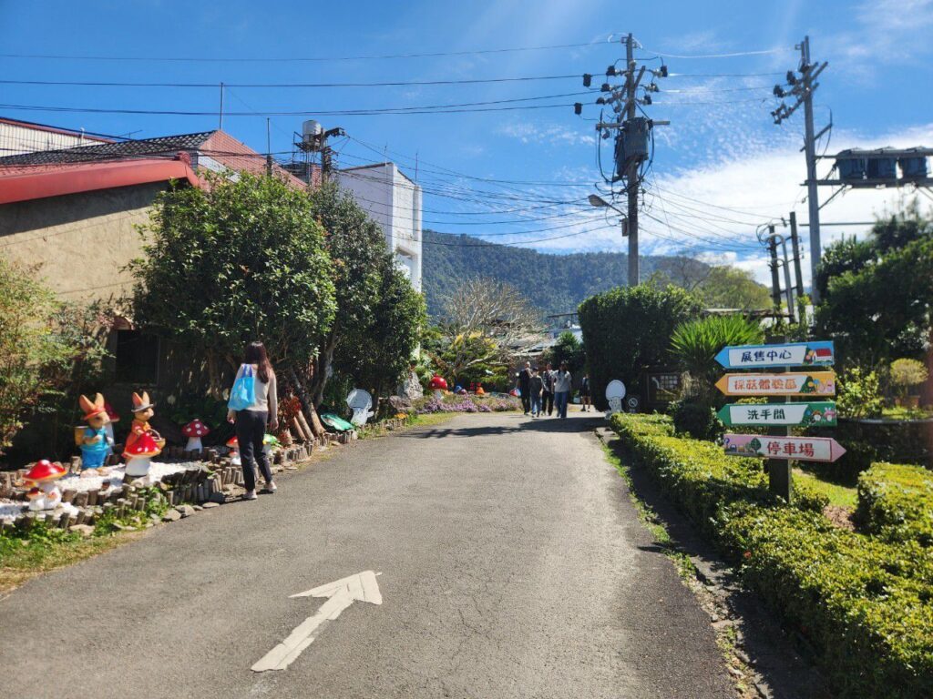 豐年靈芝菇類生態農場 南投埔里親子景點