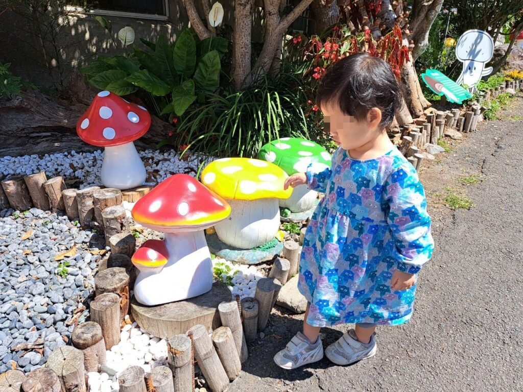 豐年靈芝菇類生態農場 南投埔里親子景點