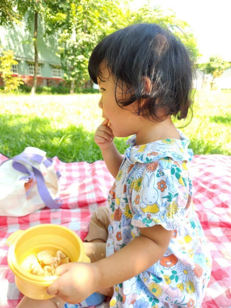 Baby Secret 米餅 ，寶寶的秘密莓菓派對有機米餅