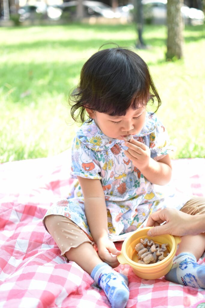 Baby Secret 米餅 ，寶寶的秘密莓菓派對有機米餅