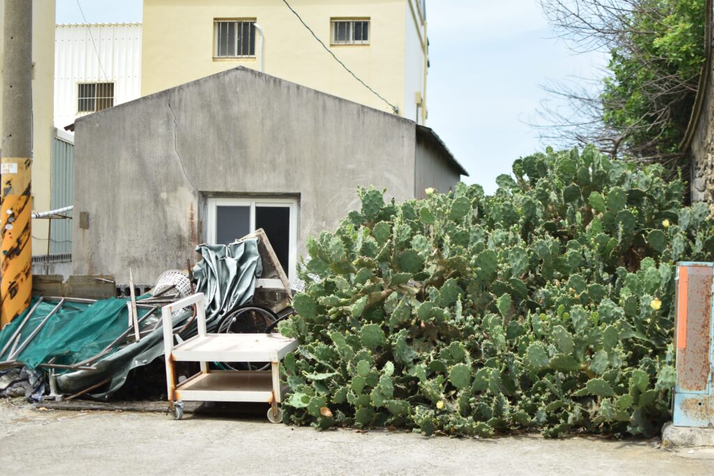 江巷仔內仙人掌冰 澎湖美食