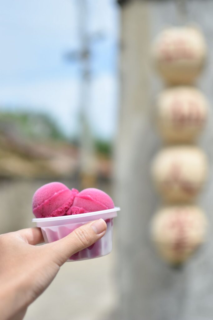 江巷仔內仙人掌冰 澎湖美食