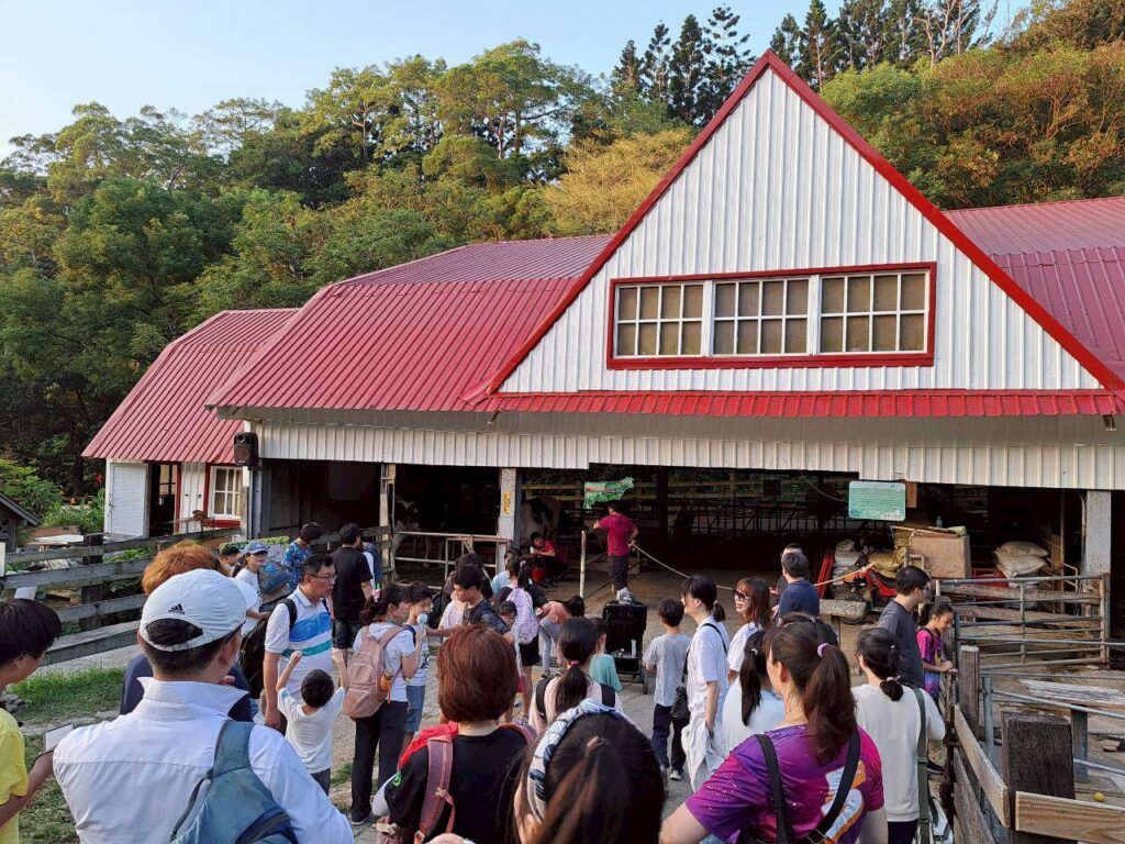飛牛牧場一日遊，各式動物、生態教育，親子活動體驗。