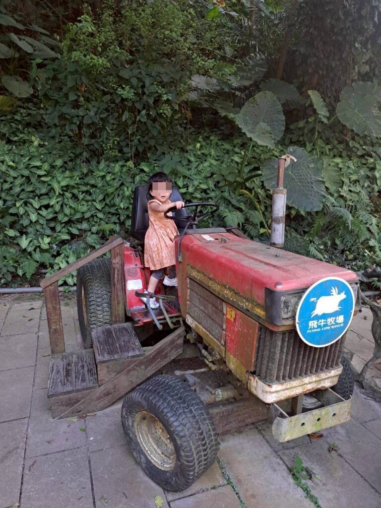 飛牛牧場一日遊，各式動物、生態教育，親子活動體驗，還能看到農業機械器具