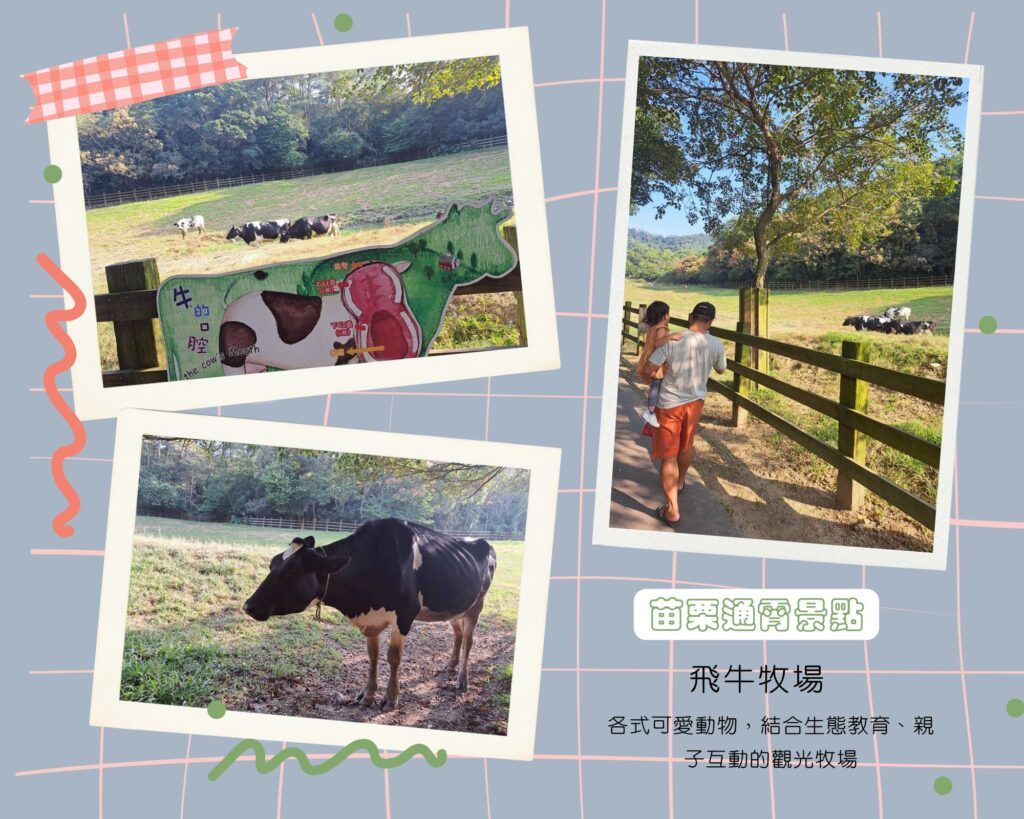  飛牛牧場一日遊 ，各式動物、生態教育，親子活動體驗，處處可見牛、羊