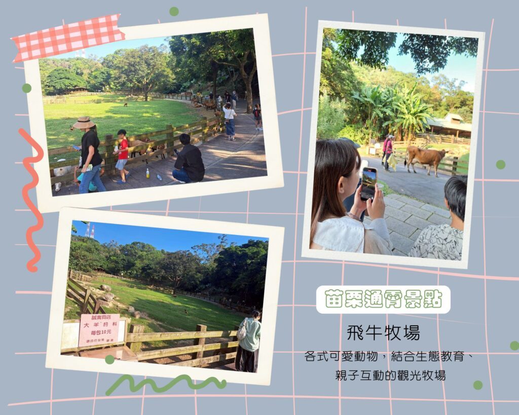  飛牛牧場一日遊 ，各式動物、生態教育，親子活動體驗，處處可見牛、羊