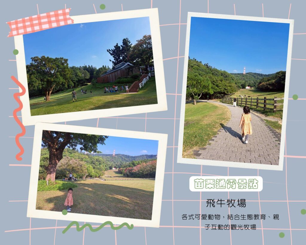 飛牛牧場一日遊，各式動物、生態教育，親子活動體驗