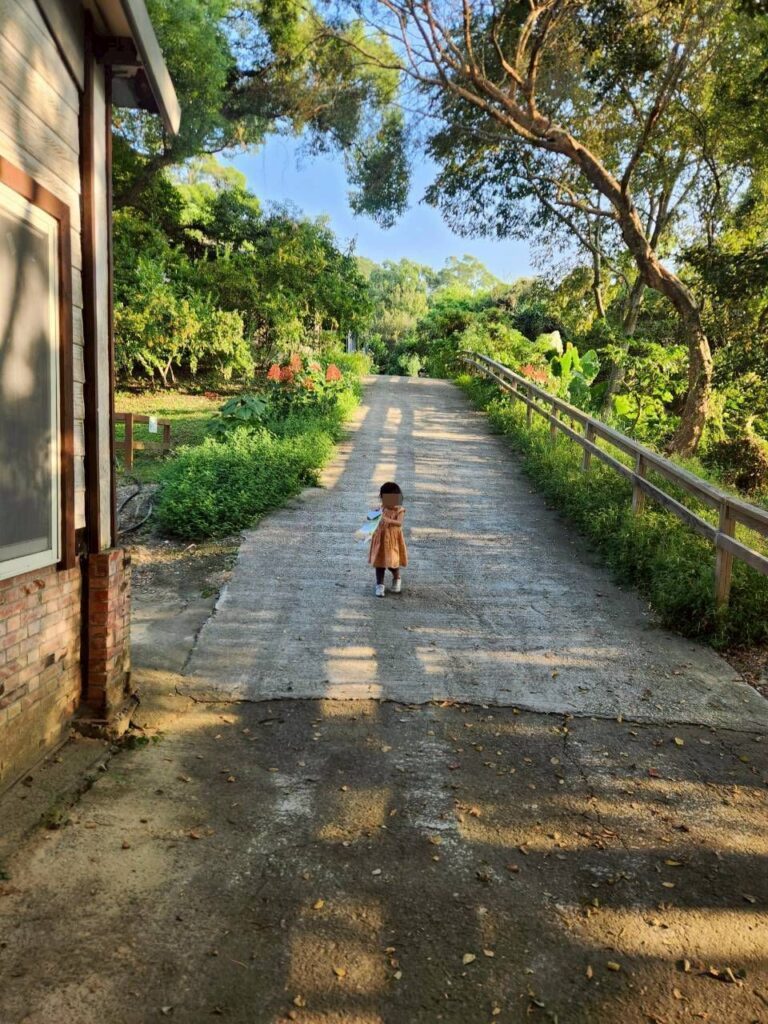  飛牛牧場一日遊 ，各式動物、生態教育，親子活動體驗，擠牛奶體驗