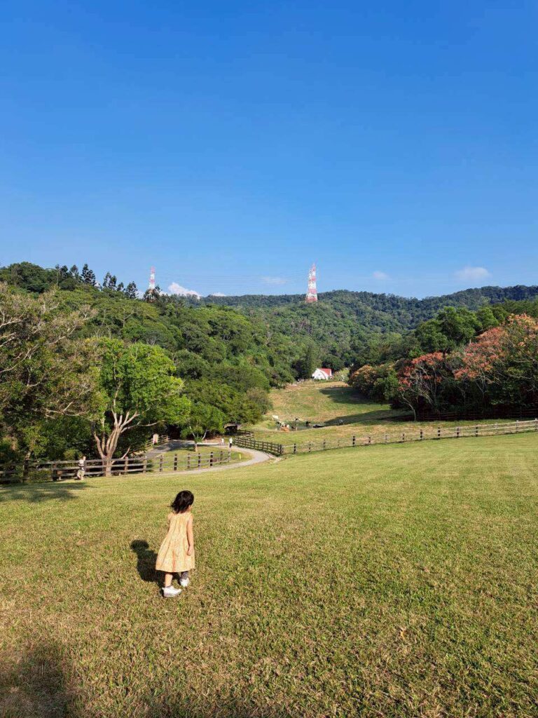  飛牛牧場一日遊 ，各式動物、生態教育，親子活動體驗，飛牛牧場草原活動區，小朋友奔跑玩耍的畫面
