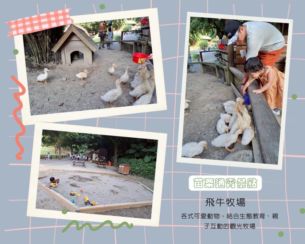  飛牛牧場一日遊 ，各式動物、生態教育，親子活動體驗，餵小鴨體驗