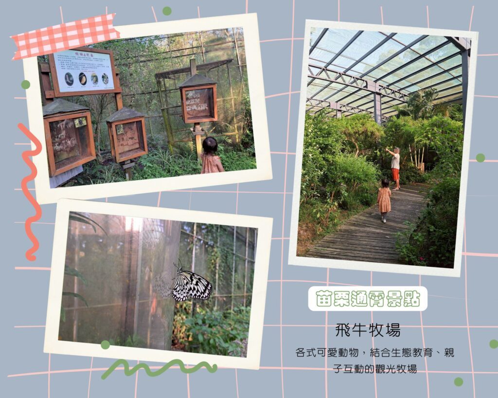  飛牛牧場一日遊 ，各式動物、生態教育，親子活動體驗，蝴蝶區