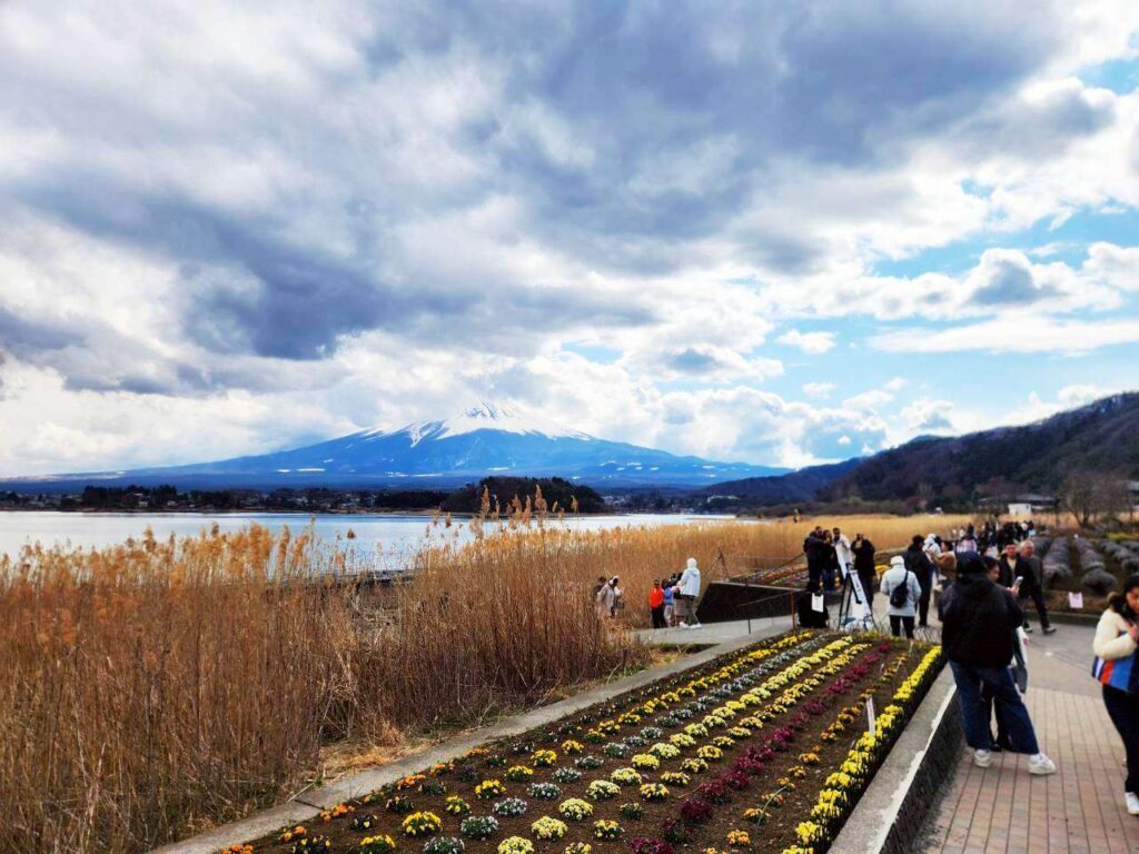  KKDAY 富士山一日遊 心得，東京出發KKDAY富士山一日遊親子行程，帶3歲小孩輕鬆玩河口湖與忍野八海