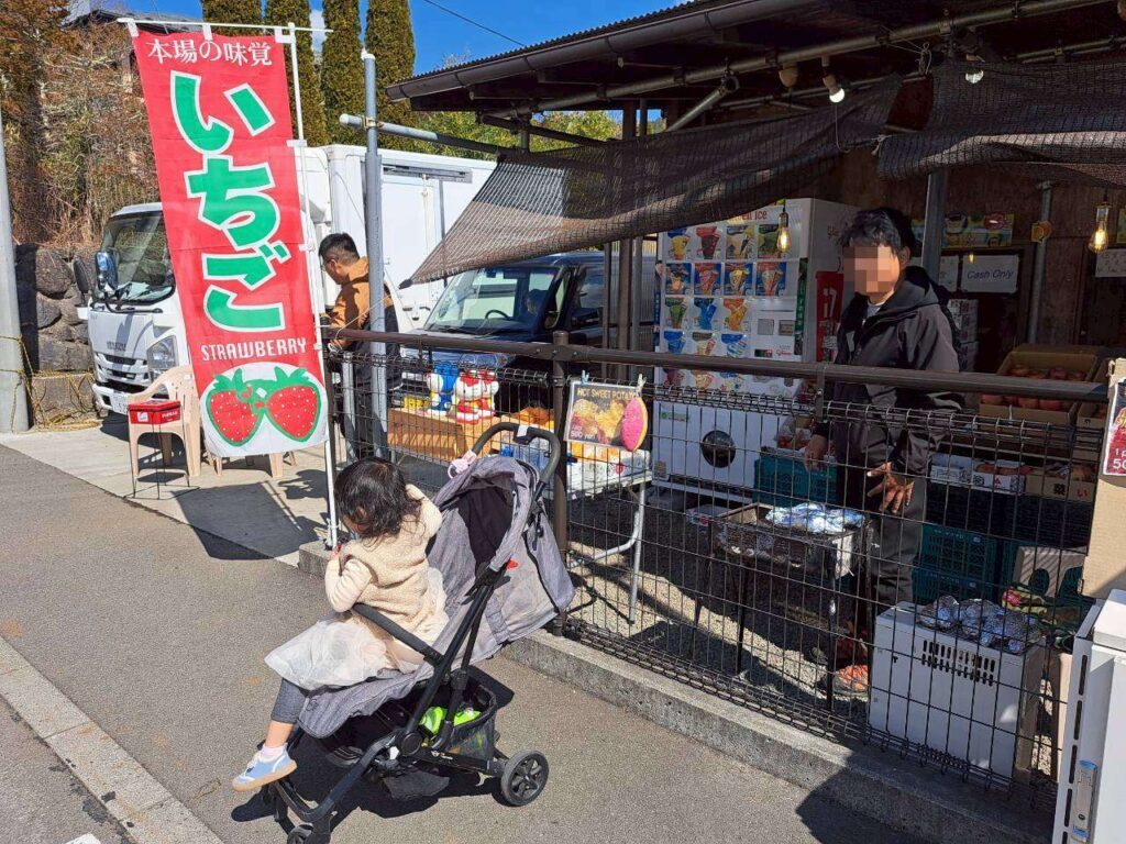 東京出發富士山一日遊親子行程，忍野八海親子旅遊美食推薦，草莓鮮甜多汁