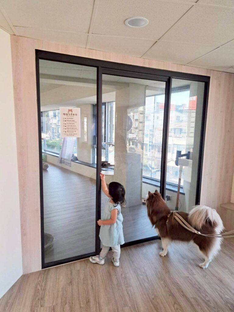  台中親子餐廳 金牌萌寵GMP，是一間很棒的台中東區貓咪咖啡廳，親子友善、寵物友善，店裡有可愛的三隻貓咪。