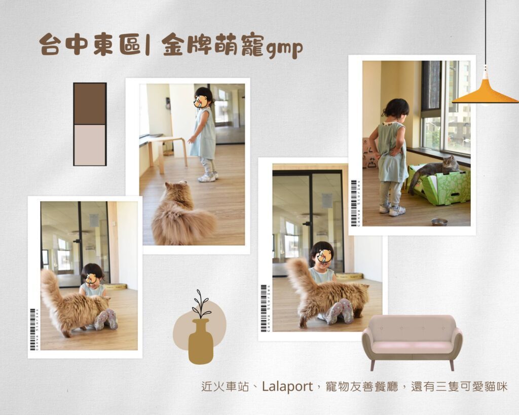  台中親子餐廳 金牌萌寵GMP，是一間很棒的台中東區貓咪咖啡廳，親子友善、寵物友善，店裡有可愛的三隻貓咪。