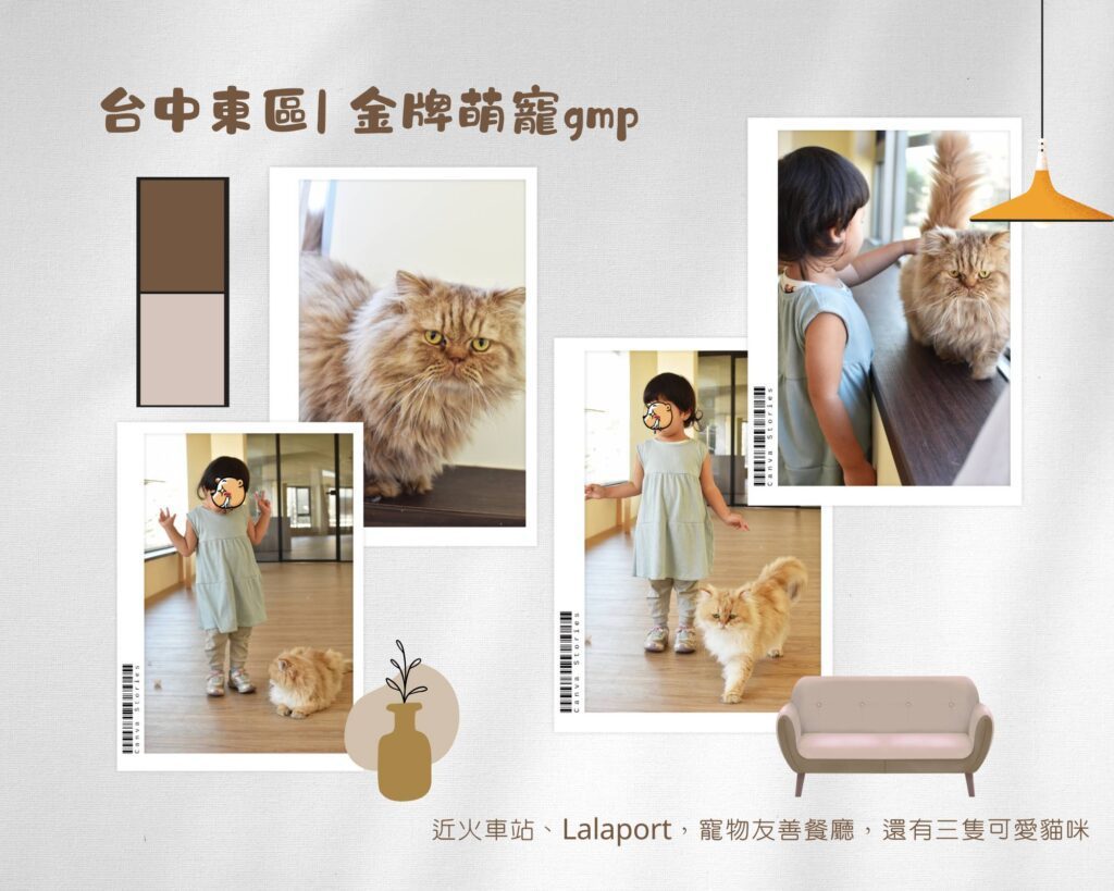  台中親子餐廳 金牌萌寵GMP，是一間很棒的台中東區貓咪咖啡廳，親子友善、寵物友善，店裡有可愛的三隻貓咪。