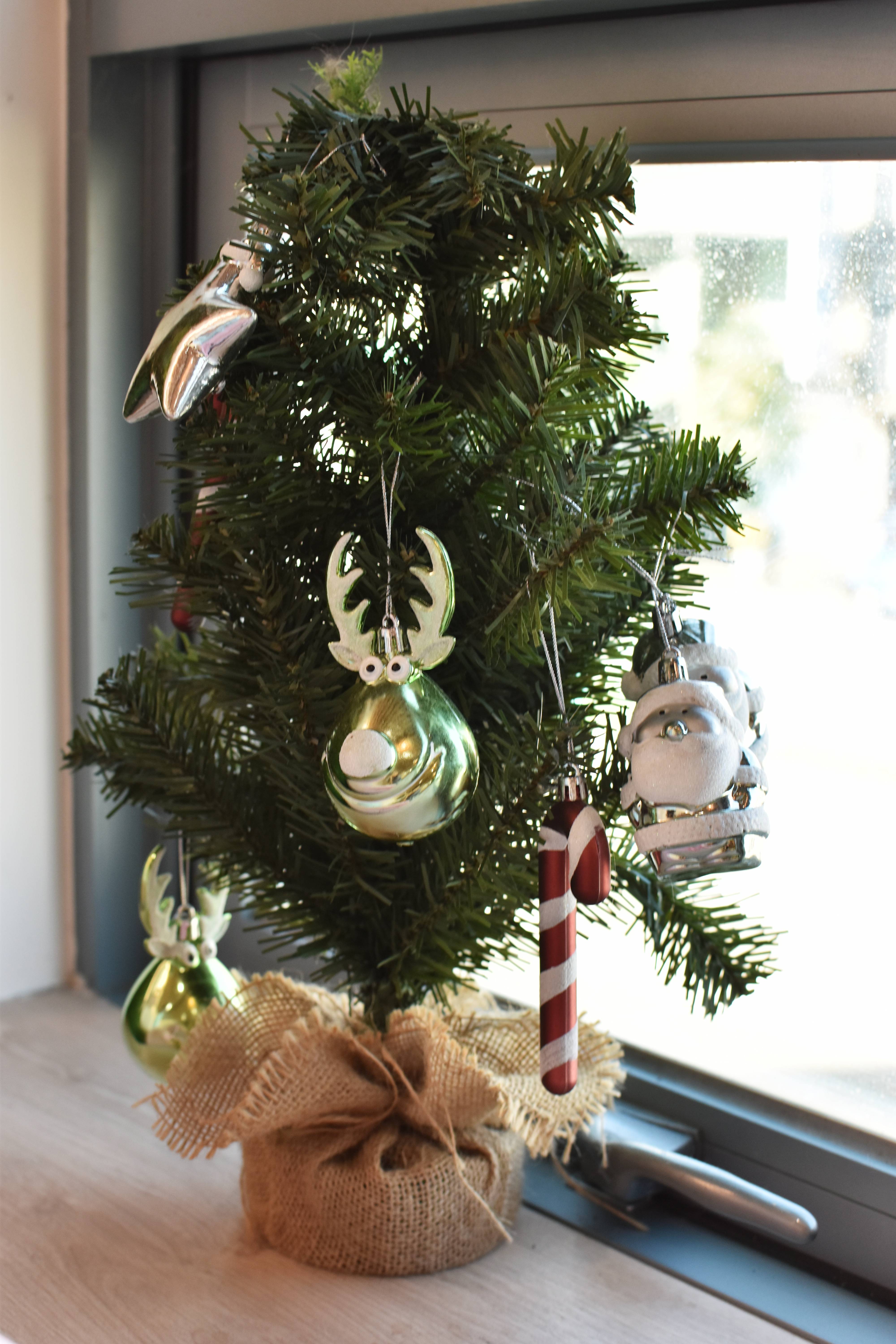  台中親子餐廳 金牌萌寵GMP，是一間很棒的台中東區貓咪咖啡廳，親子友善、寵物友善，店裡有可愛的三隻貓咪。